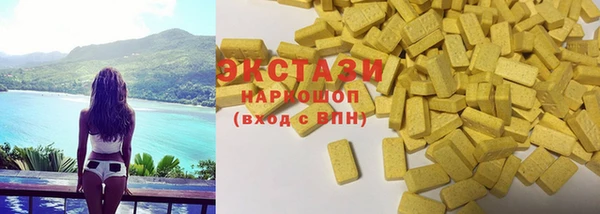 крисы Бородино