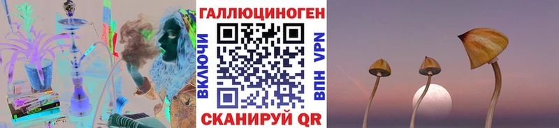 Псилоцибиновые грибы мицелий  Кочубеевское 